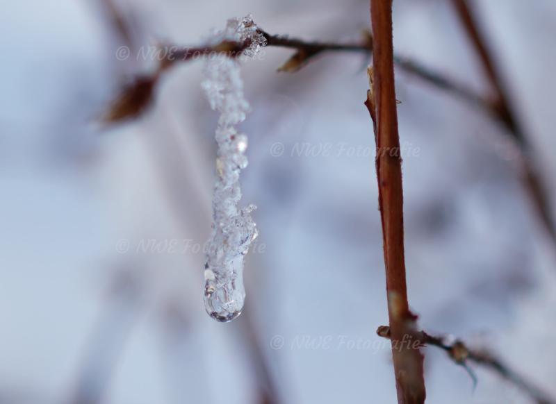 Gefrorener Tropfen